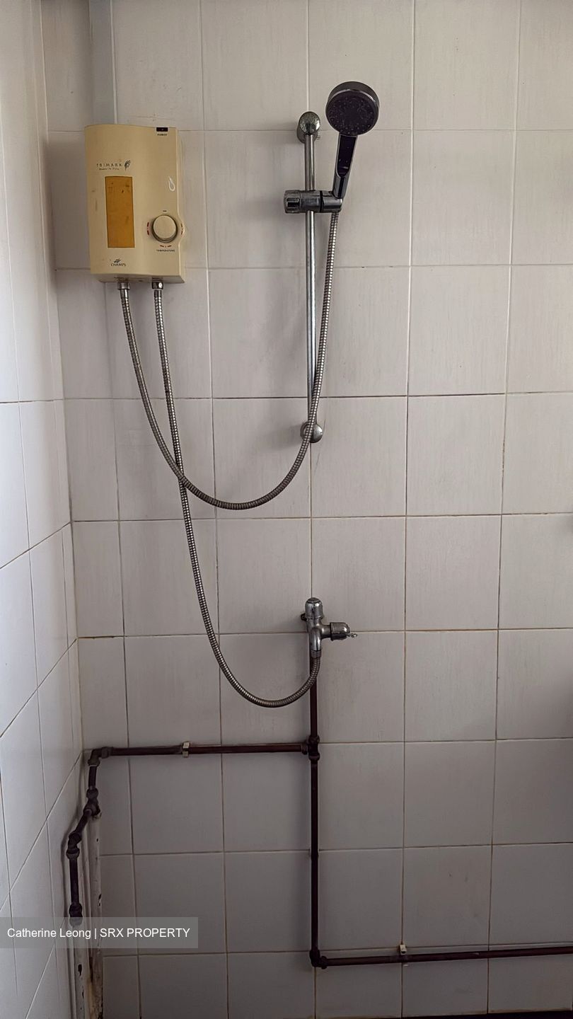 Blk 237 Hougang Street 21 (Hougang), HDB Executive #452643281